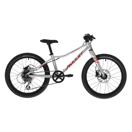 Gyermek mountain bike AMULET-20 Youngster SH, alu brushed transparent/red